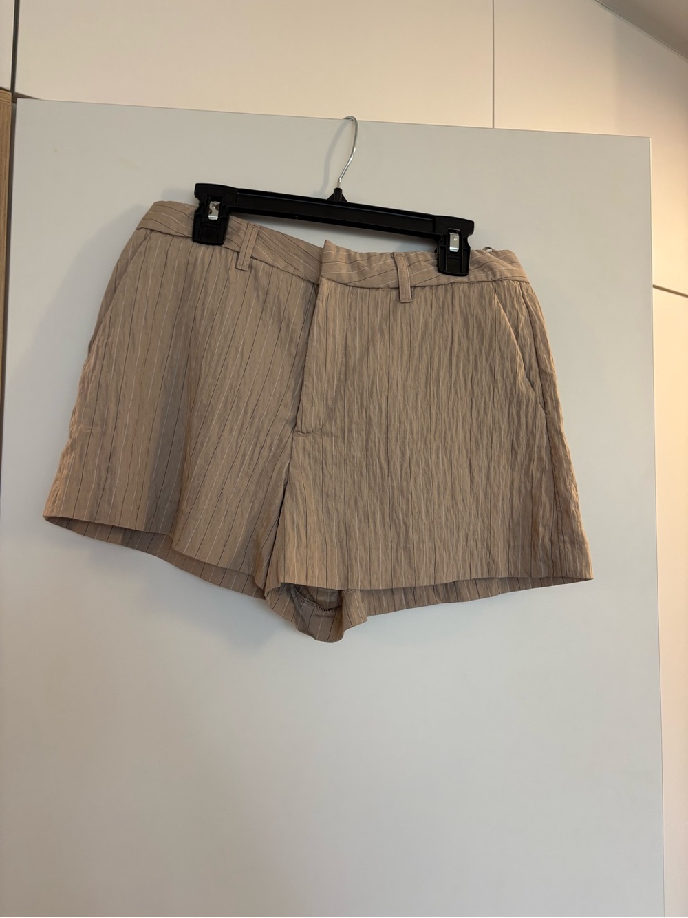 Zara Shorts